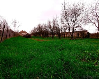 Pozemok na výstavbu RD, 800 m2, MÉRA - Maďarsko - 5