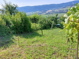 Rekreačný pozemok, Hrušov - 5