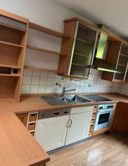 Moderní kuchyně z masivu se spotřebiči, 5243 - 5