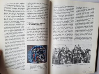 Srdce Žitného ostrova - okres Dunajská Streda - 5