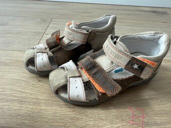 Adidas, Nike, Ddstep …… - 5