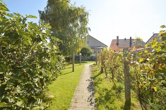 Predaj 5i rodinný dom, pozemok 800 m2, Hegyeshalom - 5