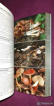 1000 slovenských a českých húb - 5
