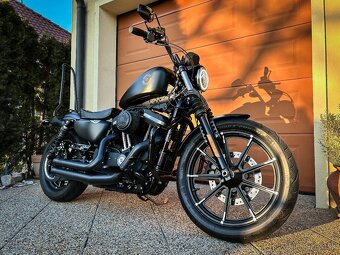 Harley Davidson Sportster Iron 883 , VP A2 - 5