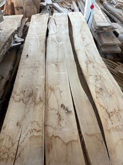 Vysušené brestové fošne, brest horský, 52 mm - 5