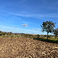 Stavebný pozemok Skalica 2000 m² - 5