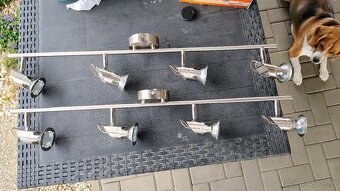 Stropne bodove svietidlo 4x GU10 Globo, 2 kusy - 5