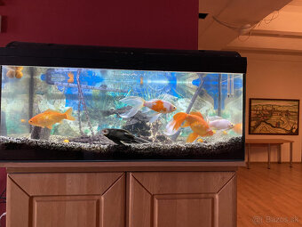 Kancelárske priestory : 73,5 m2, v širšom centre mesta - 5