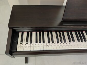 Yamaha YDP 103 Arius Rosewood - 5