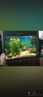 Predám akvarium - 5