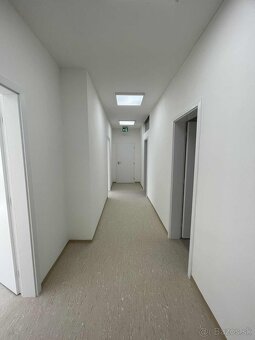 Strojové omietky - 5