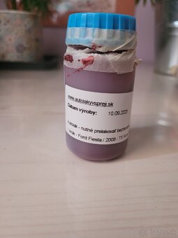 Farba, Ford Fiesta, T5 Ruby red Pearl, 30ml - 5