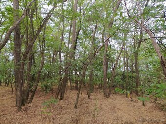 Hľadá sa nový majiteľ jedinečného pozemku v obci Láb. - 5