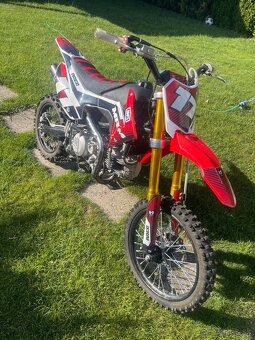 Pitbike MRM 190 beast - 5