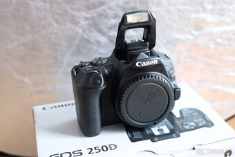 Canon EOS 250D + Tamron AF 18-200 mm F/3.5-6.3 Di II VC - 5