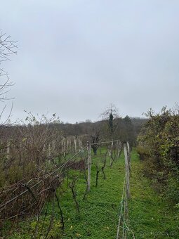 Rodinný dom v Koplotovciach - 5