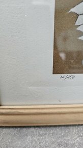 BANKSY LITOGRAFIE CERTIFIKAT - 5