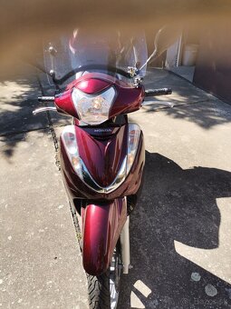 Honda 300 i - 5
