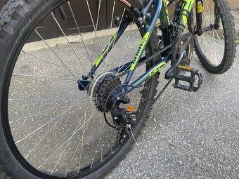 CTM BERRY 2.0 2020. 24” - 5
