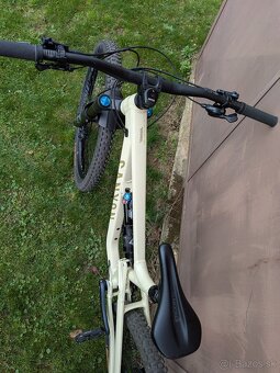 Canyon Torque Mullet AL - 5