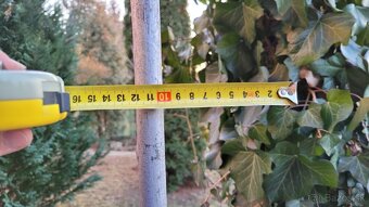 Predám 2 m tyč bleskozvodu s masívnym betónovým podstavcom - 5