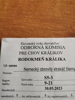 NOS tetovaný s papiermi - 5