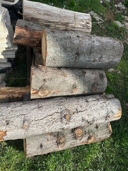 Predám kmene smrek - 5