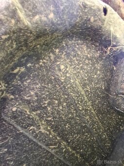 Trabant 601 kombi s TP - 5