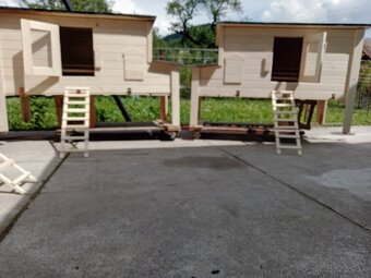 Psia buda búda pre psov kurín latrina suché wc - 5