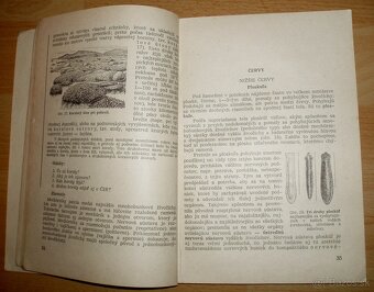 Zoológia pre 7. ročník všeobecnovzdelávacích škôl - 5
