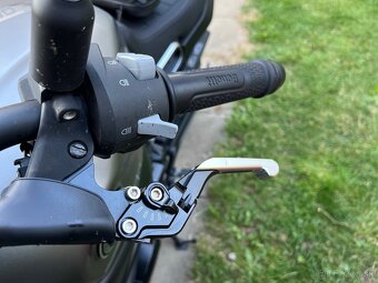 Benelli Leoncino 800 - 5