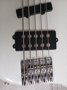 REZERVOVANÉ -5 strunová basgitara - 5