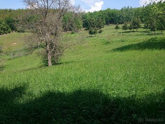 Hriňová, Uhlisko – stavebný pozemok v peknej prírode, 9941m2 - 5