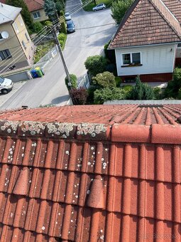 Čistenie zámkovej dlažby a striech - 5