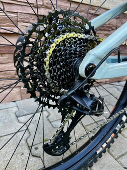 Fucus JAM 6.8 - 5