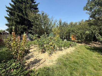 Predaj záhradky – Šaľa, Váhová ulica (pri klzisku) - 5