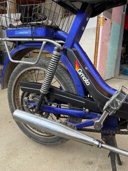 Babetta - 5