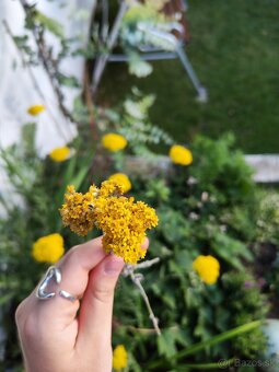 🌻Kytička sušených žltých slameničiek - 5