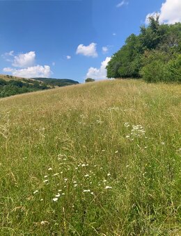 Predám krásny pozemok v obci Podbranč - 5