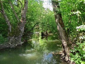 Krásny pozemok na stavbu chaty pri Podzámčoku - 5