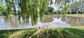 PREDAJ - pozemok s chatkou - BA IV.-Devínske jazero - 5