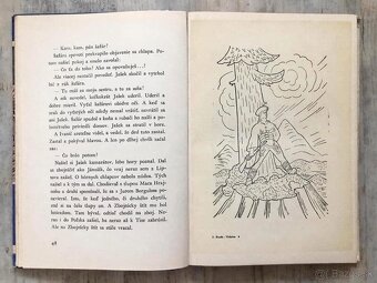 86 ročná zberateľská kniha - 5