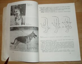 Pes a jeho výcvik - 5