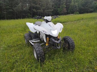 Dinli quadzilla 450 - 5