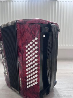 Harmonika DELICIA - 5