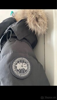 Canada Goose - 5
