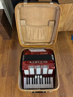 Akordeon DELICIA 60 bas - 5