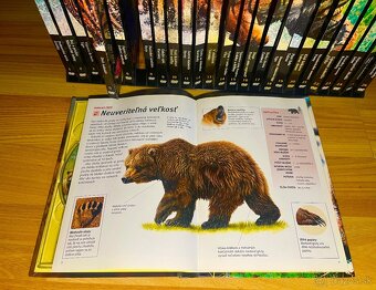 Zbierku DVD s knižnými sprievodcami - 5