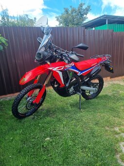 Honda crf 300 rally - 5