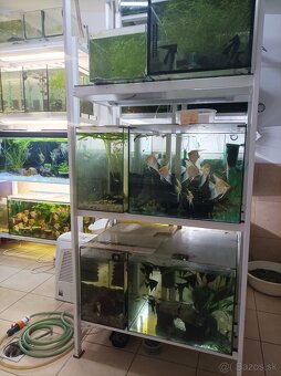 Predám stojky s akvariami - 5